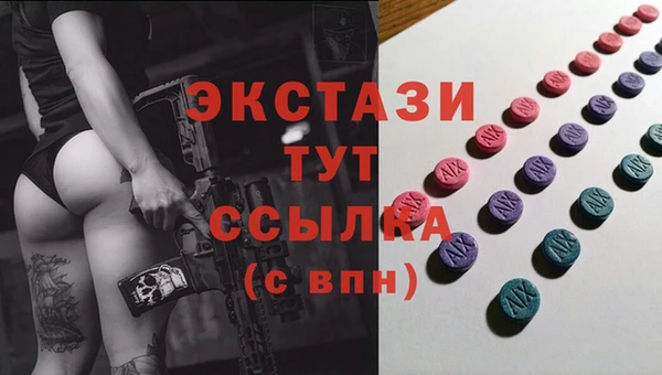 индика Елизово