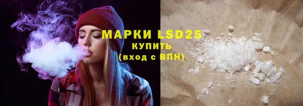 индика Елизово