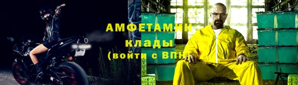 индика Елизово