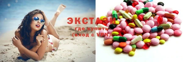 индика Елизово