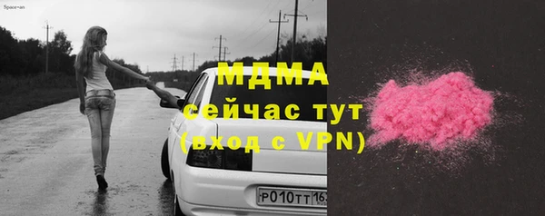 индика Елизово