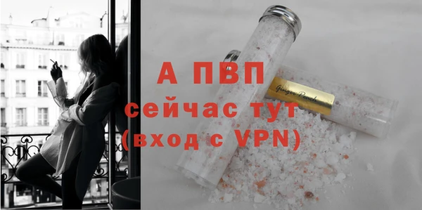 индика Елизово