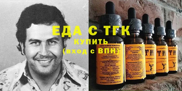 индика Елизово