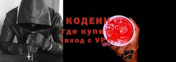 индика Елизово