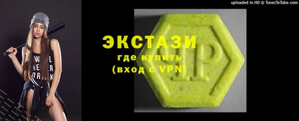 индика Елизово