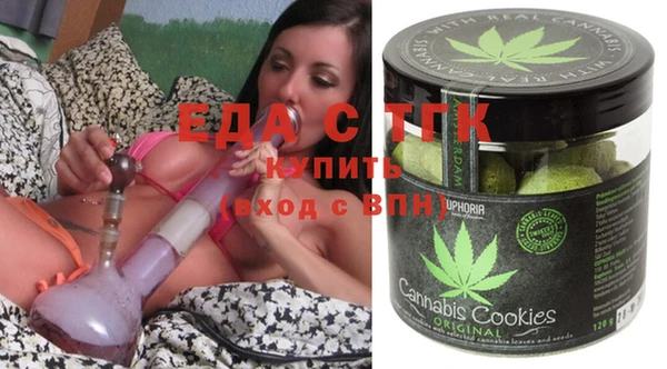 индика Елизово