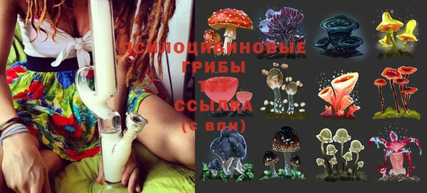 индика Елизово