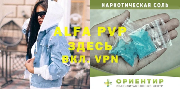 индика Елизово