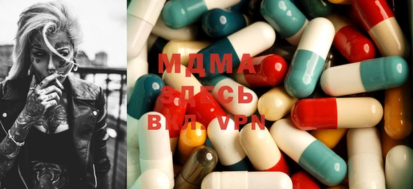 индика Елизово
