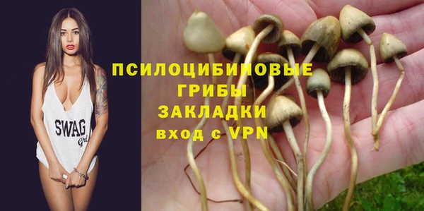 индика Елизово