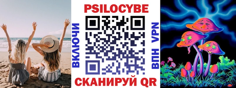 Купить закладки  Заинск  Галлюциногенные грибы мухоморы 